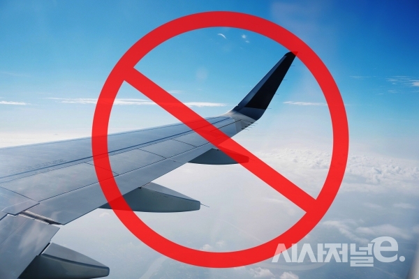 14일 대한항공과 티웨이항공이 보도자료를 내고 안전 확보 전까지 보잉사의 737 MAX8 기종을 운항하지 않겠다고 밝혔다. /이미지=최창원 기자