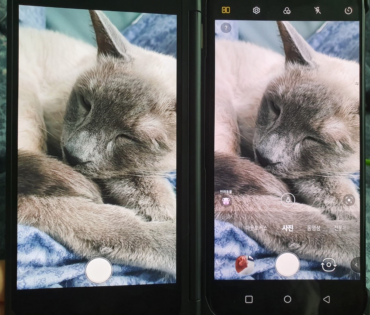 LG전자 V50S 씽큐에서 미러모드를 실행해서 고양이를 촬영하고 있는 모습. / 사진=변소인 기자