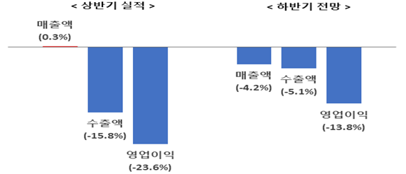 주요 업종 전년동기대비 상반기 실적·하반기 전망 /자료=전경련