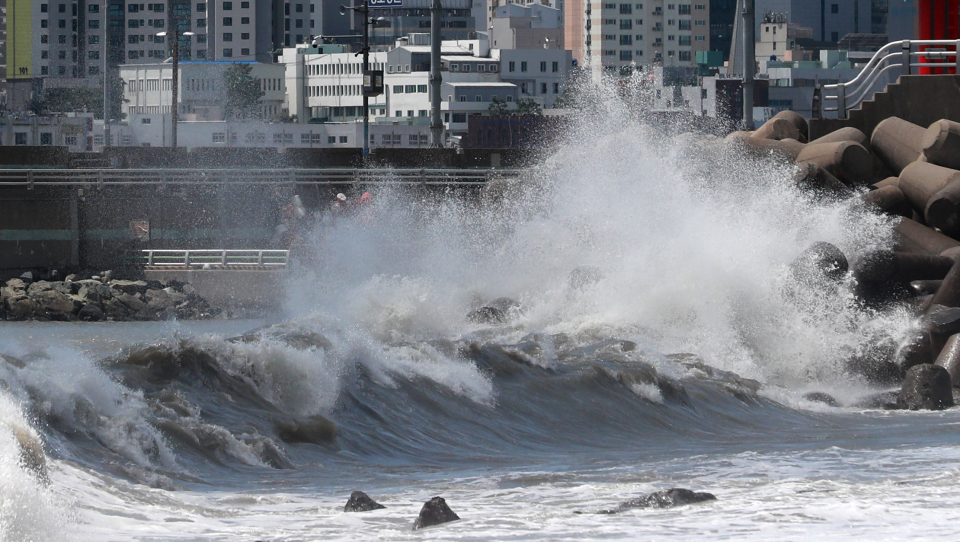 태풍 마이삭이 남부지방을 강타한 3일 오후 부산 민락수변공원에 강한 파도가 몰려오고 있다./사진=연합뉴스