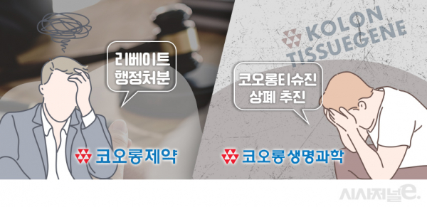 그래픽=이다인 디자이너