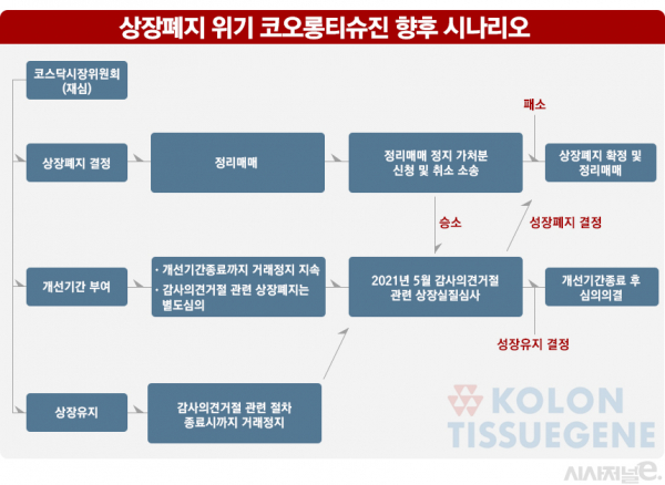 그래픽=김은실 디자이너