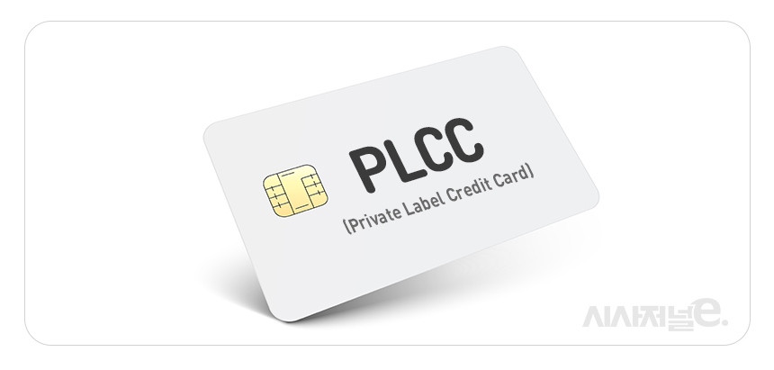 국민카드가 현대카드에 이어 ‘상업자 표시 신용카드(PLCC)’를 출시하며 후발주자로 나섰다. PLCC가 카드업계의 업황 악화를 타개할 돌파구로 떠오르는 모습이다./그래픽=이다인 디자이너