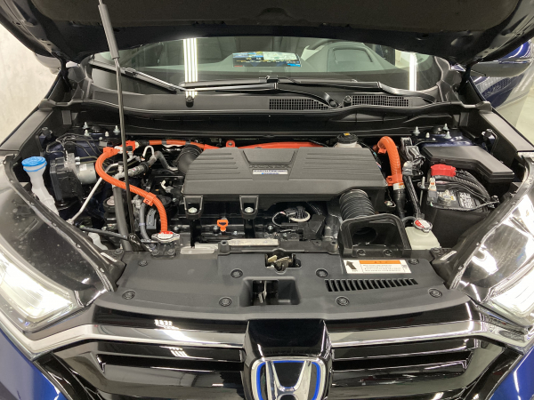 /사진=이창원 기자