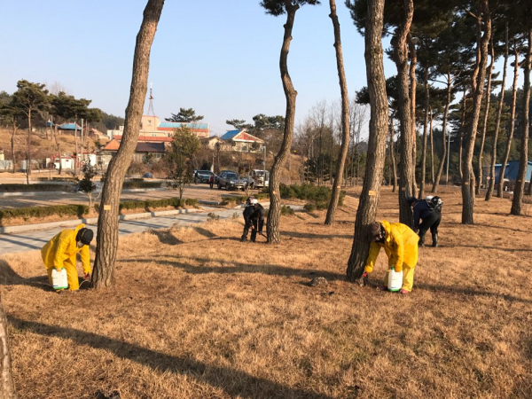지난 2017년 충북 서천군에서 실시하는 소나무재선충병 방제 사업에 참여하는 작업자들이 예방 나무주사를 놓고 있다. /사진=서천군 홈페이지