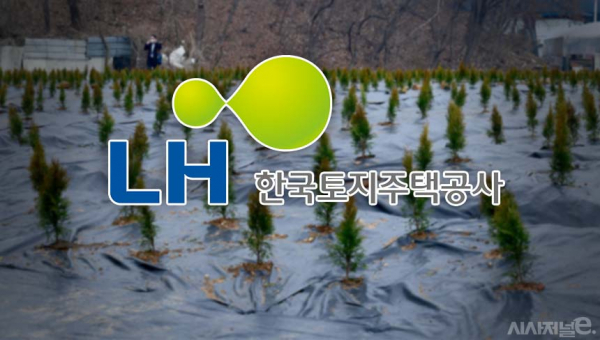 / 이미지=김은실 디자이너, 연합뉴스