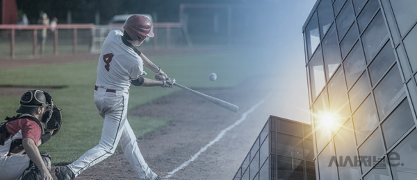 그래픽=이다인 디자이너