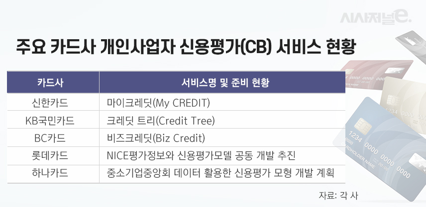 주요 카드사 개인사업자 신용평가(CB) 서비스 현황/그래픽=이다인 디자이너