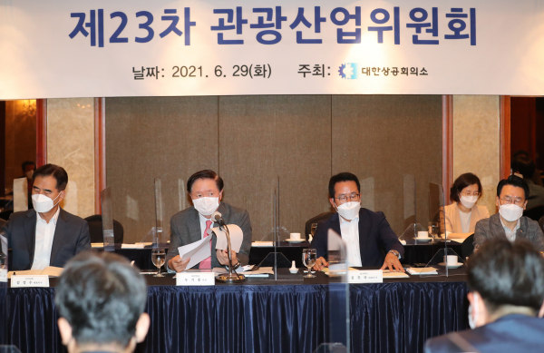 우기홍 대한항공 사장 등 항공·관광업계 관계자들은 29일 대한상의에서 열린 관광산업위원회에 참석해 관광산업 회복을 위한 정부의 적극적인 지원을 요청했다. / 사진=연합뉴스