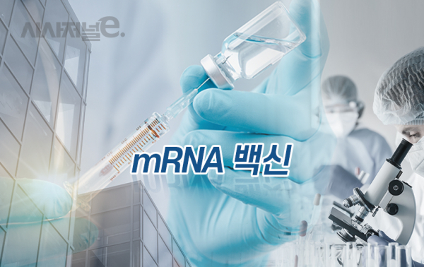 그래픽=이다인 디자이너