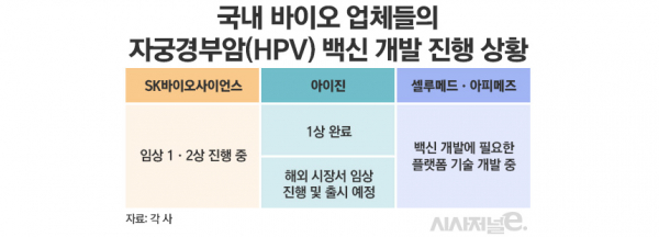 국내 바이오 업체들의 자궁경부암 백신 개발 진행 상황 / 그래픽=김은실 디자이너