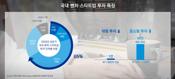 국내 CVC의 벤처투자 특징 / 자료=삼정KPMG 제공