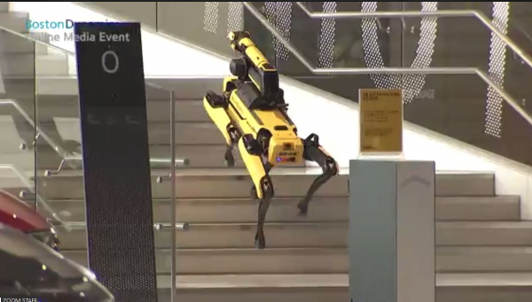 보스턴다이내믹스 개발한 4족보행 로봇 '스팟'이 계단을 오르고 있다. / 사진=보스턴다이내믹스 간담회 갈무리