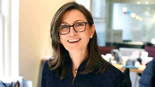 캐시 우드 아크인베스트 대표. / 사진=연합뉴스.