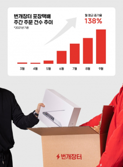 /자료=번개장터