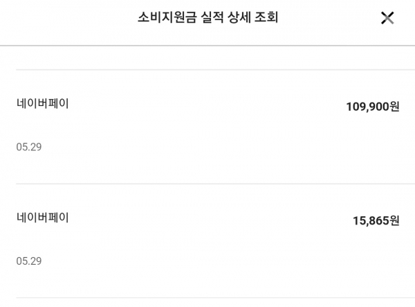 기자 2분기 소비에서 네이버페이로 결제된 품목은 '네이버페이'라고만 명시돼 있다. / 사진=카드사 캡처