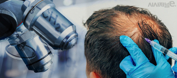 그래픽=김은실 디자이너