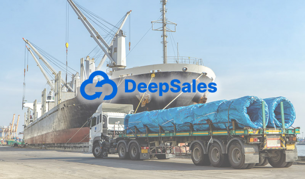 / 이미지=딥세일즈