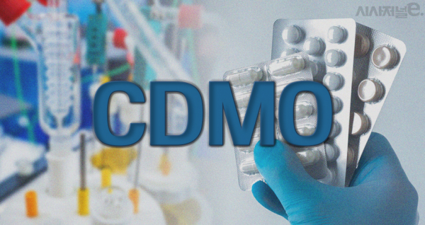 그래픽=김은실 디자이너