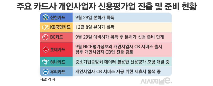 주요 카드사 개인사업자 신용평가업 진출 및 준비 현황./그래픽=김은실 디자이너