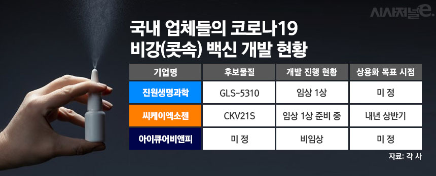 국내 업체들의 코로나19 비강 백신 개발 현황 표 / 그래픽=김은실 디자이너