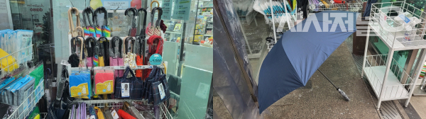 다이소에서 판매하는 최고가(5000원) 장우산. / 사진=한다원 기자