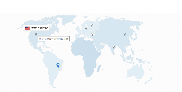 해외 현대차 생산 법인. / 자료=현대차