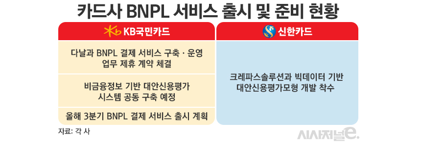 카드사 BNPL 출시 및 준비 현황/그래픽=김은실 디자이너