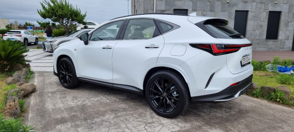 NX450h+ 후측면부. / 사진=박성수 기자