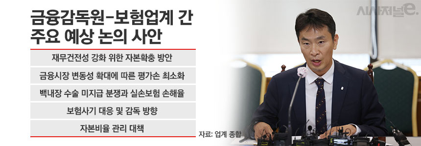 금융감독원-보험업계 간 주요 예상 논의 사안 / 그래픽=김은실 디자이너