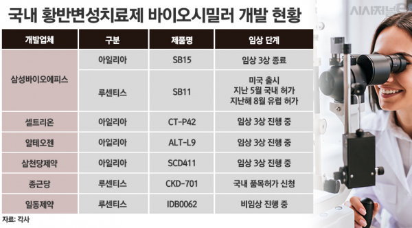 국내 황반변성치료제 바이오시밀러 개발 현황./ 표=정승아 디자이너