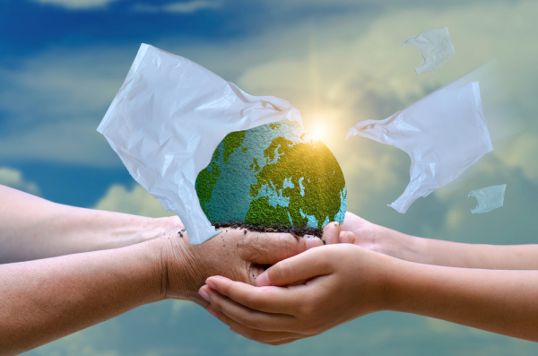 / 이미지=셔터스톡