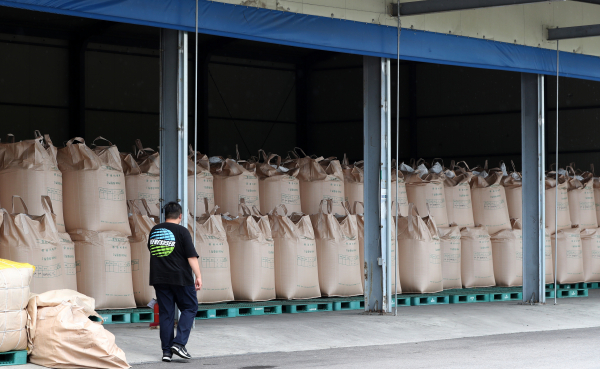 예년보다 이른 추석에 햅쌀 출하 시기도 빨라진 가운데 전국 농협의 쌀 재고가 전년 대비 70%가량 늘어난 41만t을 기록하는 등 쌀값 폭락이 우려되고 있다. 사진은 4일 강원도 내 한 미곡 창고에 쌓여 있는 대형 쌀 포대. 해당 미곡처리장 관계자는 "지난해 8월에는 이 창고가 텅 비어 있었다"고 말했다. / 사진=연합뉴스