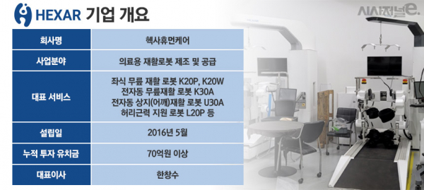 헥사휴먼케어 기업 개요./ 표=정승아 디자이너