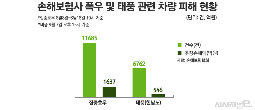 손해보험사 폭우 및 태풍 관련 차량 피해 현황/그래픽=정승아 디자이너