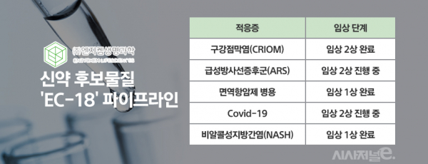 엔지켐생명과학 파이프라인./ 표=정승아 디자이너
