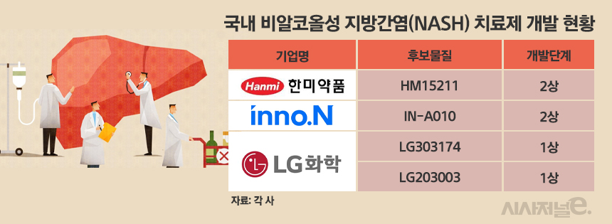 국내 비알코올성 지방간염(NASH) 치료제 개발 현황 / 그래픽=정승아 디자이너
