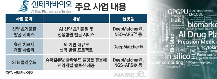 신테카바이오 주요 사업 내용 / 그래픽=정승아 디자이너