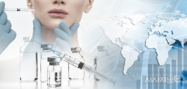 / 그래픽=이다인 디자이너