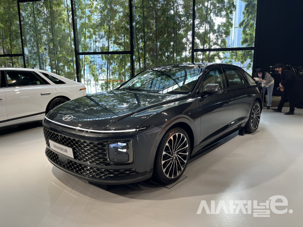 그레이 컬러 / 사진=유주엽 기자