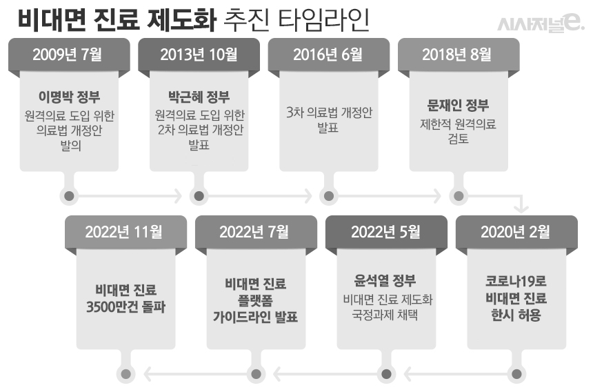 비대면 진료 제도화 추진 타임라인 / 그래픽=김은실 디자이너