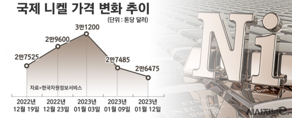 /그래픽=정승아 디자이너
