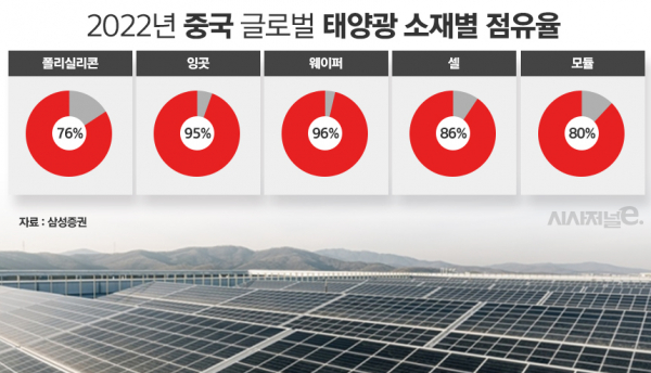 2022년 중국 글로벌 태양광 소재별 점유율. /그래픽=정승아 디자이너
