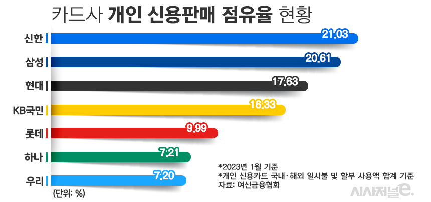 카드사 개인 신용판매 점유율 현황/그래픽=김은실 디자이너