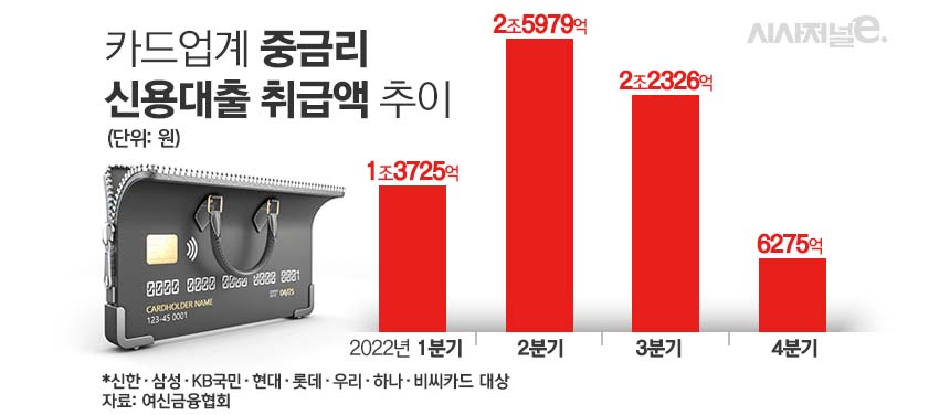 카드업계 중금리 신용대출 취급액 추이/그래픽=김은실 디자이너