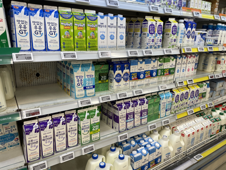 / 사진=이숙영 기자