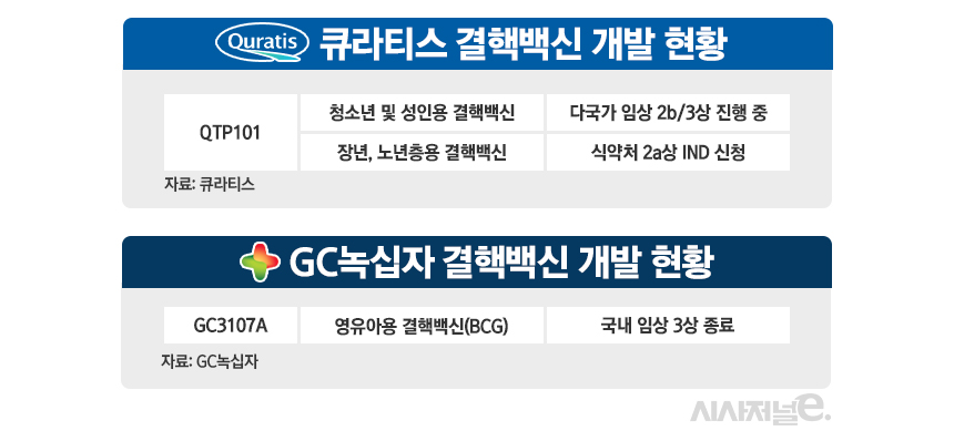 큐라티스와 GC녹십자의 결핵백신 개발 현황./표=정승아 디자이너