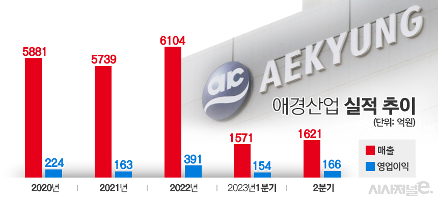 애경산업 실적 추이. / 그래픽=김은실 디자이너