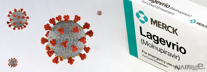 ./사진=셔터스톡, 그래픽=정승아 디자이너