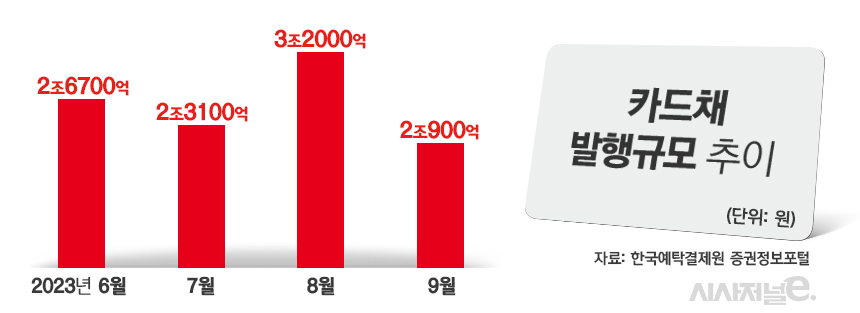 카드채 발행규모 추이/그래픽=김은실 디자이너